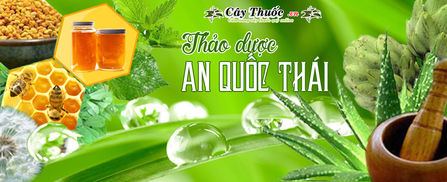 baner an quoc thai