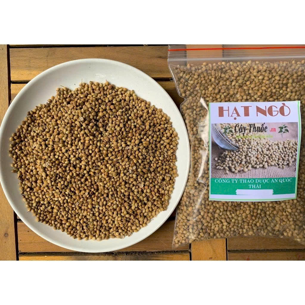 hạt ngò khô 
