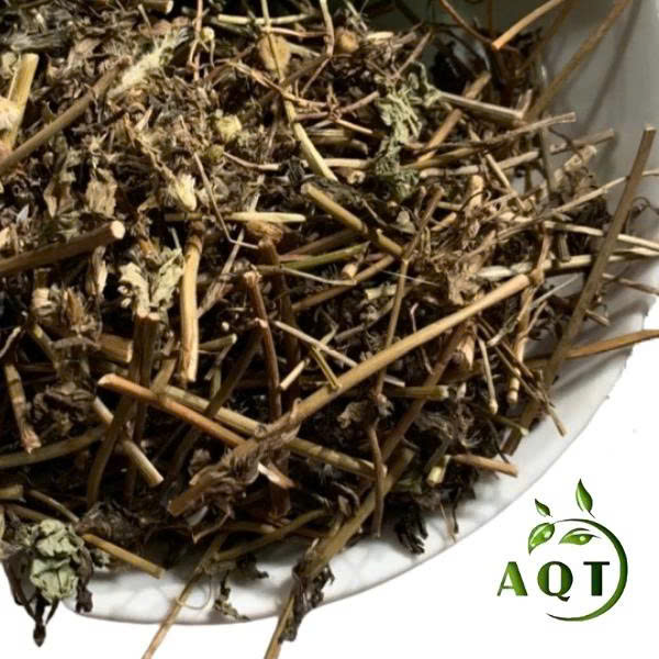 Cây cứt lợn có tác dụng gì? Cây hoa cứt lợn chữa viêm xoang.